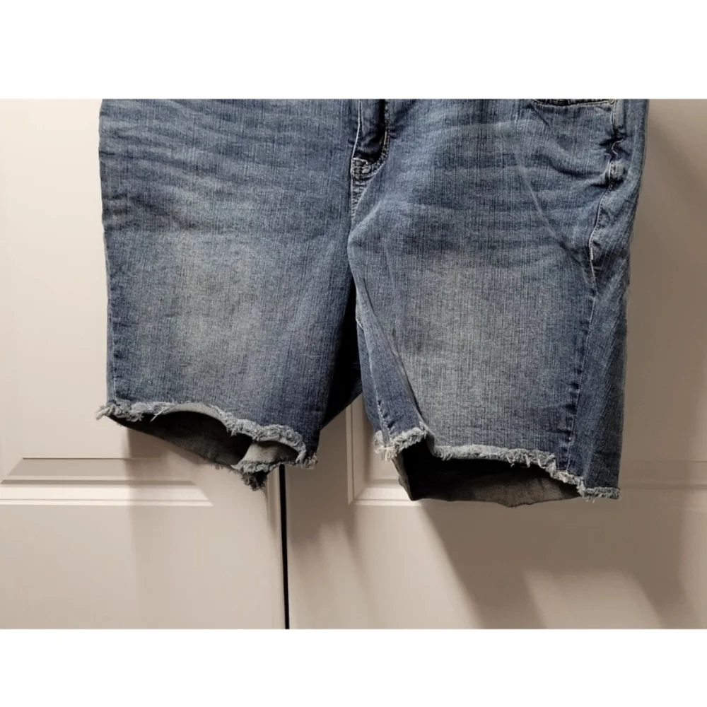 Torrid Denim Women's Jean Shorts